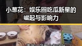 小葱花:娱乐圈吃瓜新星的崛起与影响力