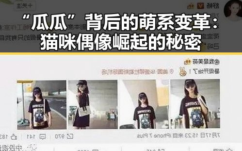“瓜瓜”背后的萌系变革：猫咪偶像崛起的秘密