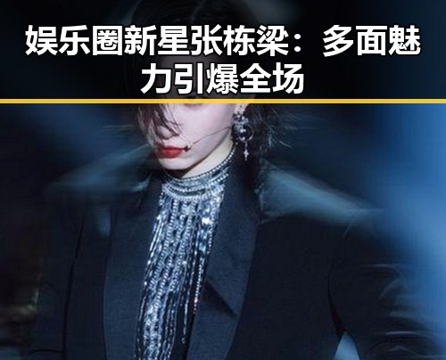 娱乐圈新星张栋梁:多面魅力引爆全场
