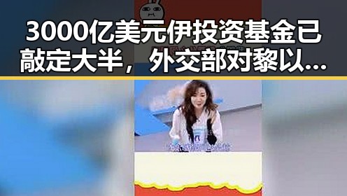 3000亿美元伊投资基金已敲定大半,外交部对黎以局势深表关切